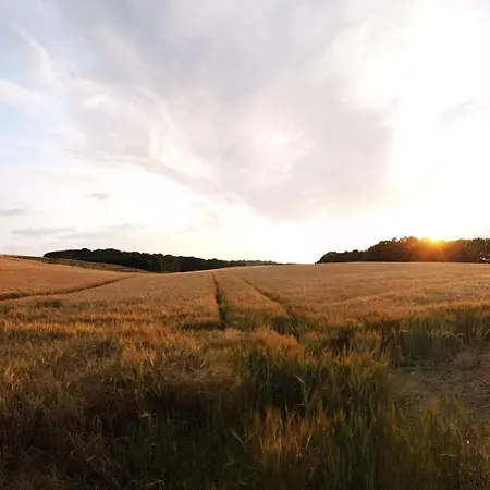 Hébergement de vacances 6 Person In *