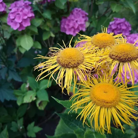 6 Person In بيت للعطل *